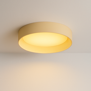 Luminária Plafon Moderna Minimalista LED Metal Acrílico Wigan - ABAZZUR™